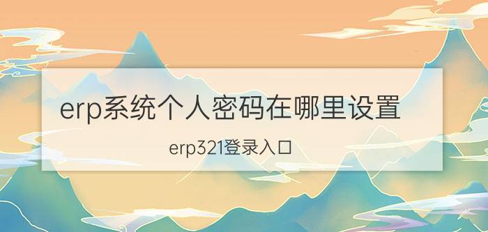 erp系统个人密码在哪里设置 erp321登录入口？